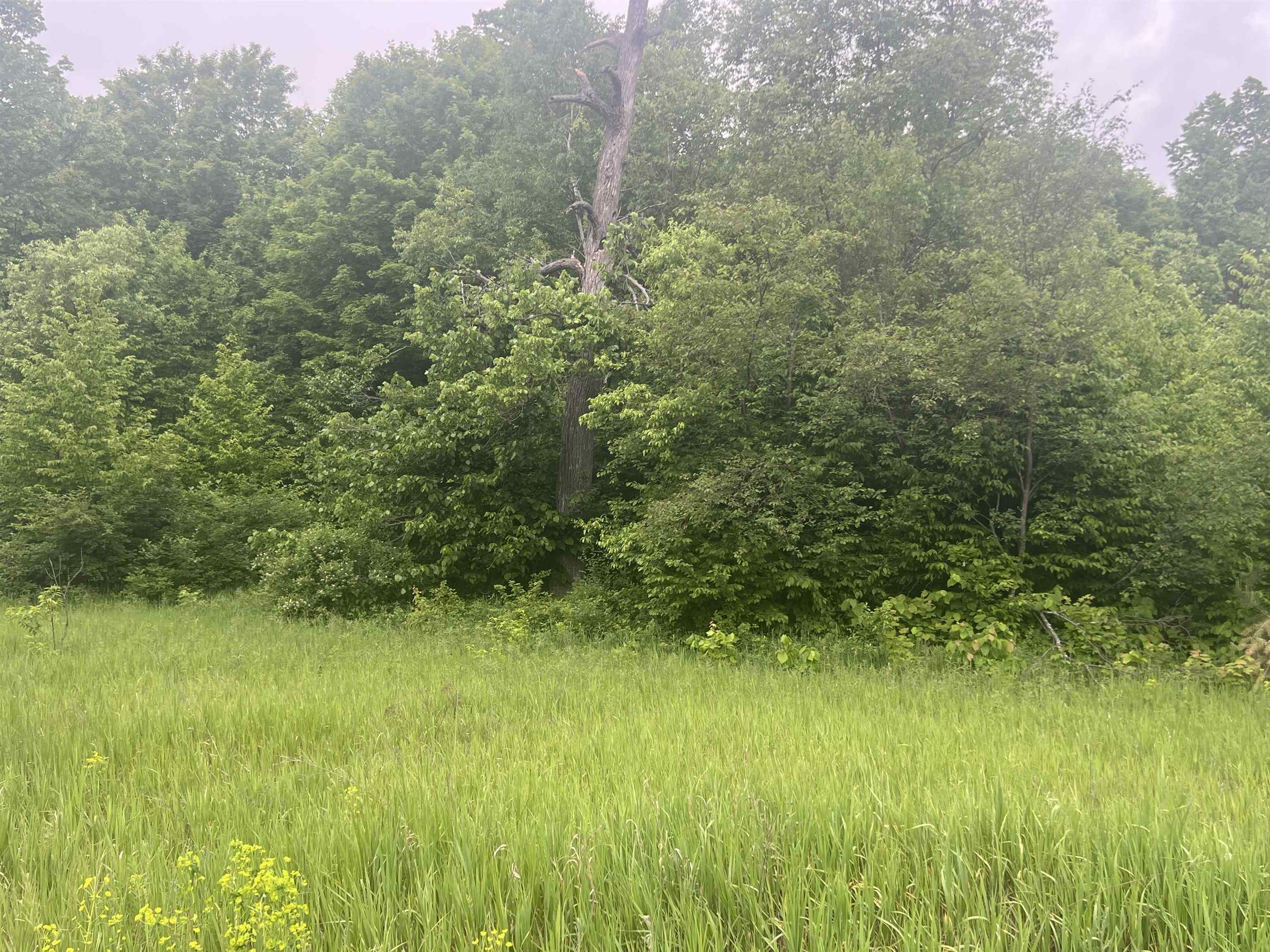 0 Wood Road Northeast Mancelona, MI 49659 - Photo 4 of 7