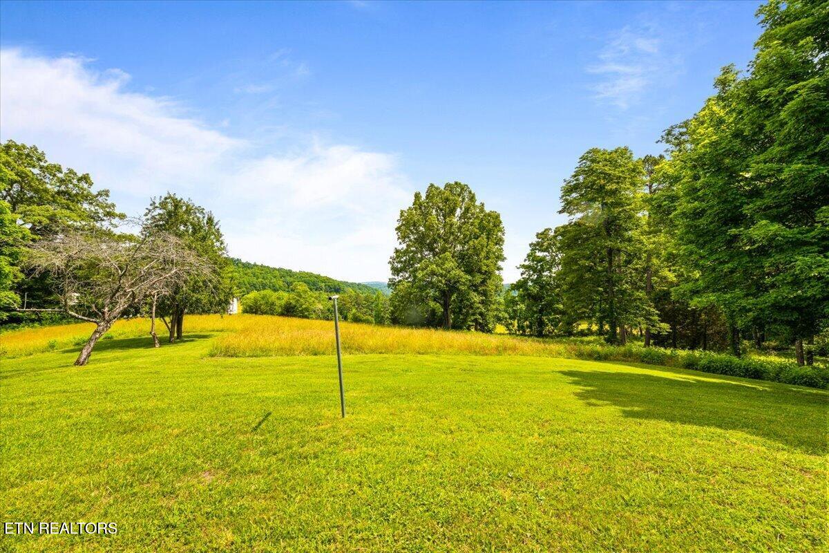 1476 Flat Hollow Road Speedwell, TN 37870 - Photo 9 of 42 52-1476 Flat Hollow Rd
