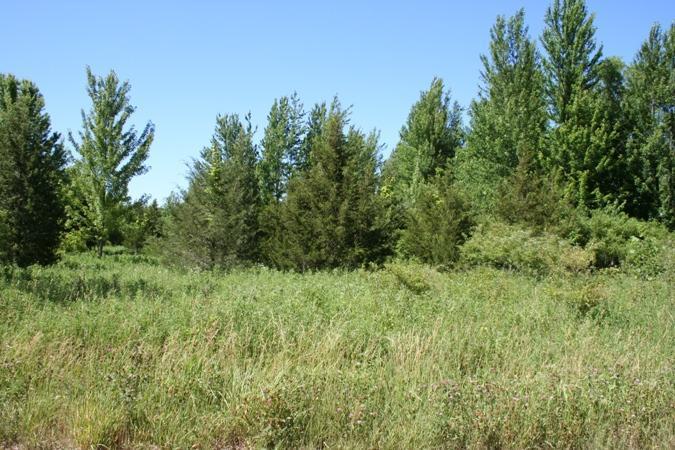 Rose Road Coldwater, MI 49036 - Photo 1 of 5 Primary Photo