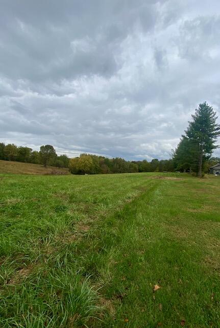 0 Davis Road Campbellsville, KY 42718 - Photo 14 of 18 IMG_3052