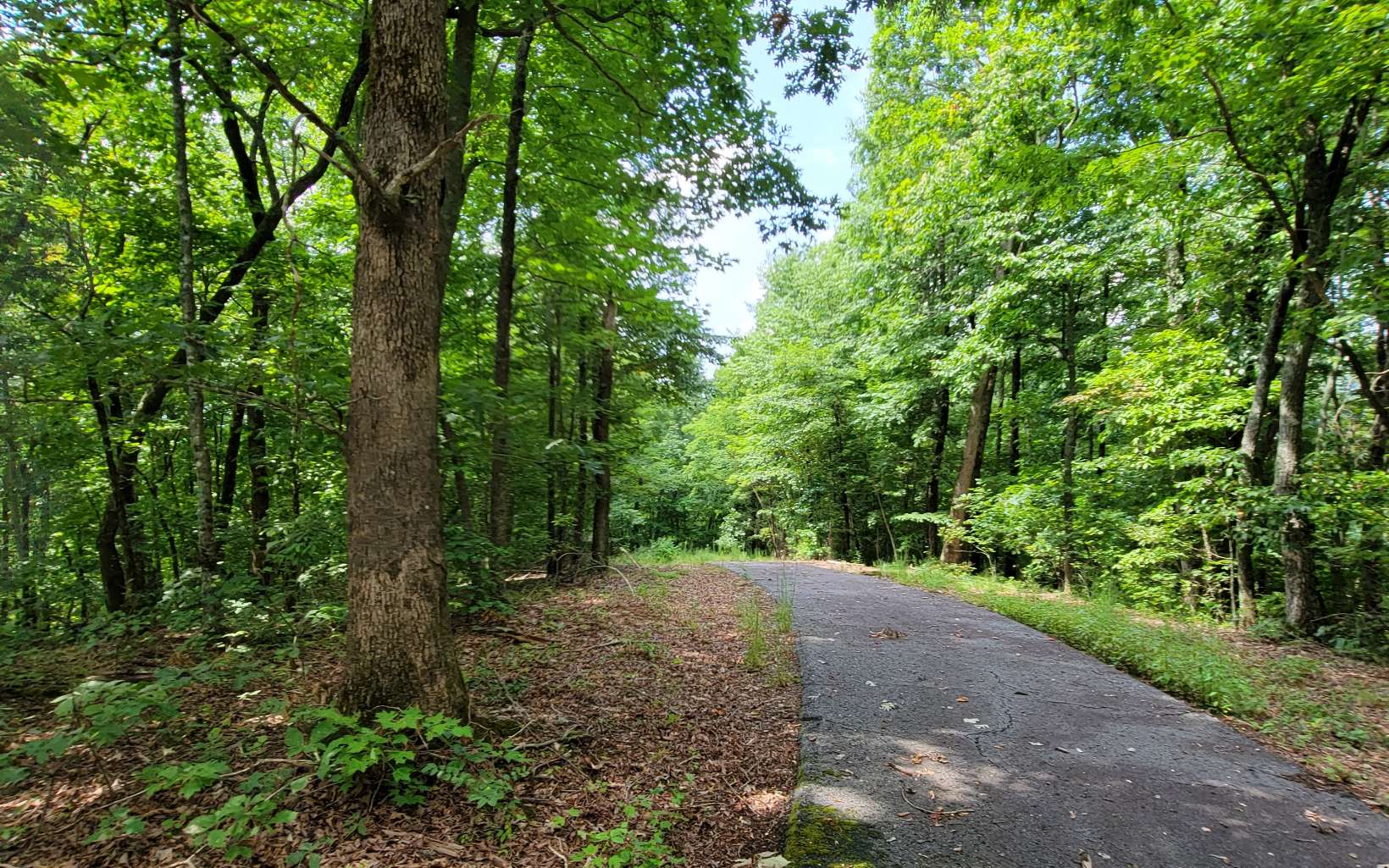 24-25 Oak Ridge Road Hayesville, NC 28904 - Photo 11 of 17 Additional View