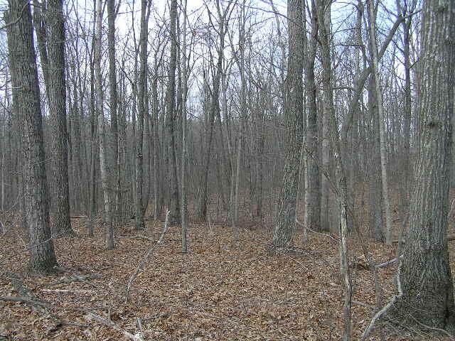 0 Wolf Pen Road Dunlap, TN 37327 - Photo 10 of 22