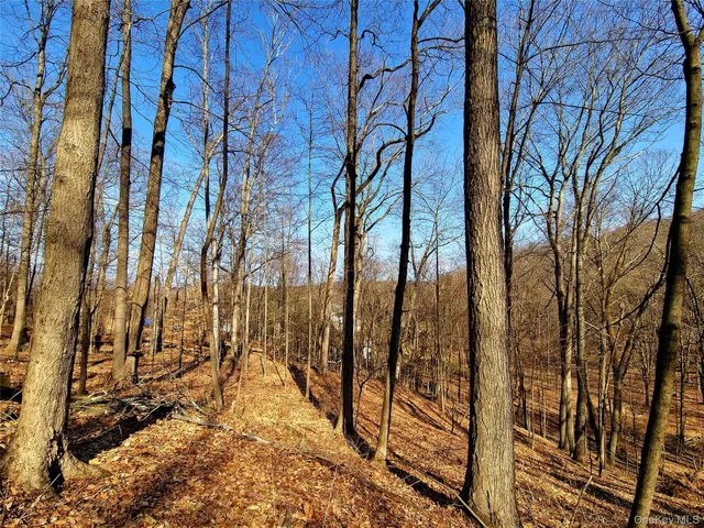 a view of a yard of the house