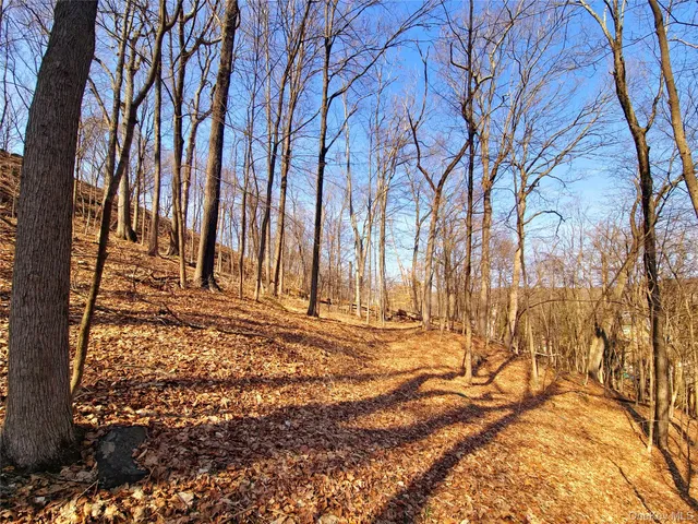 a view of a backyard of the house