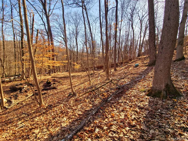 a view of a yard with large trees