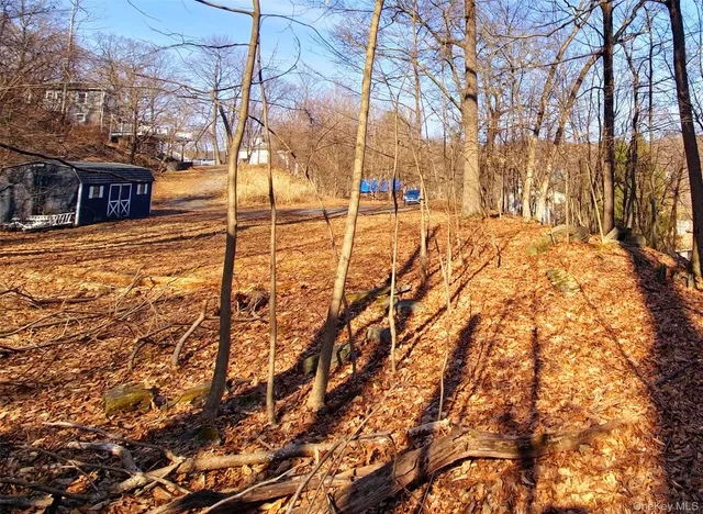 a view of street with with trees