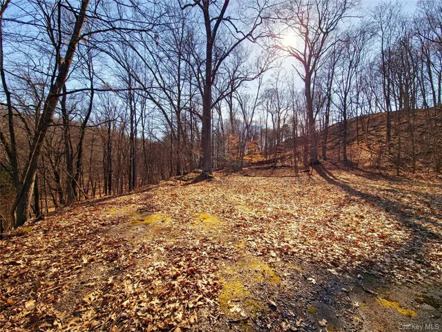 a view of a yard with snow on the road