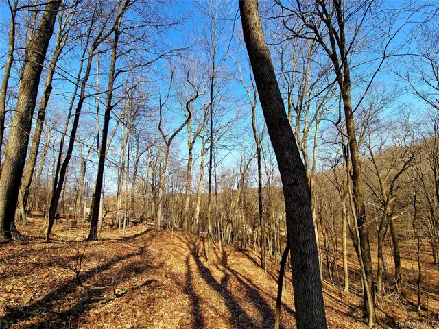 a view of backyard of a house