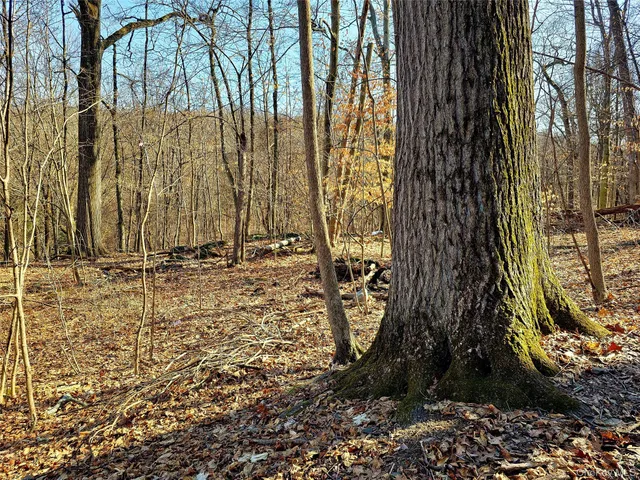 a view of wooden fence