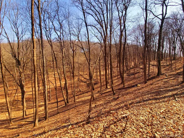 a backyard of a house with lots of trees