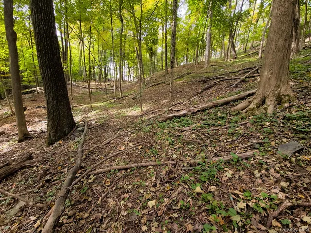 a view of backyard with green space