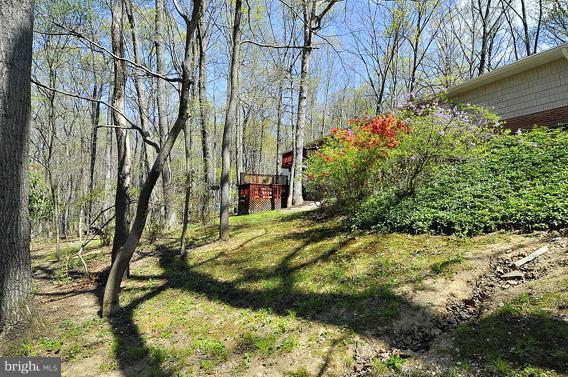 10873 Braeburn Road Columbia, MD 21044 - Photo 28 of 30 Exterior (Rear)