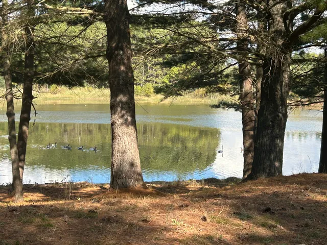 $95,900 | 6878 Bantry Bay Court, Unit 3, Stanwood, MI 49346