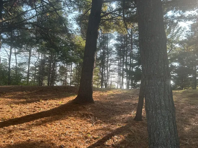 $95,900 | 6878 Bantry Bay Court, Unit 3, Stanwood, MI 49346