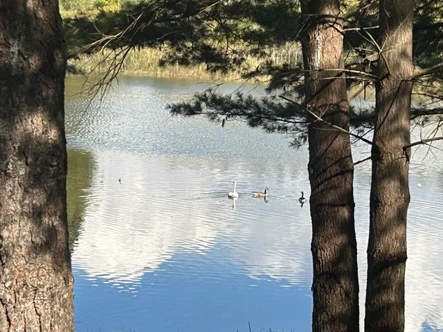 $95,900 | 6878 Bantry Bay Court, Unit 3, Stanwood, MI 49346