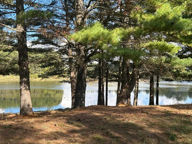 $95,900 | 6878 Bantry Bay Court, Unit 3, Stanwood, MI 49346