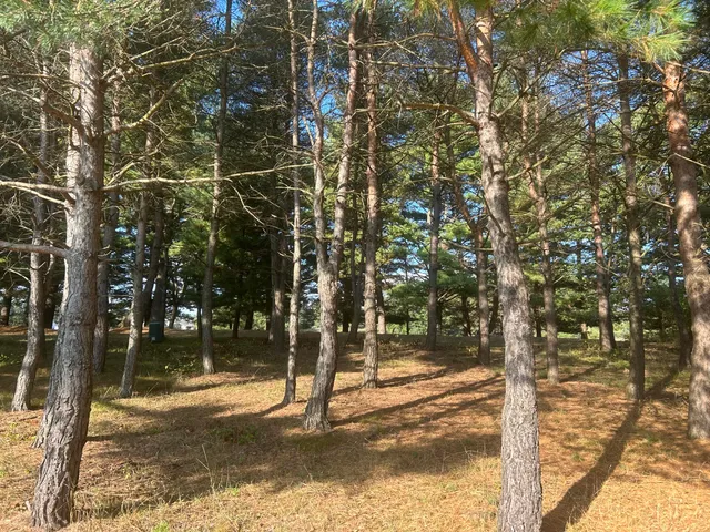 $95,900 | 6878 Bantry Bay Court, Unit 3, Stanwood, MI 49346