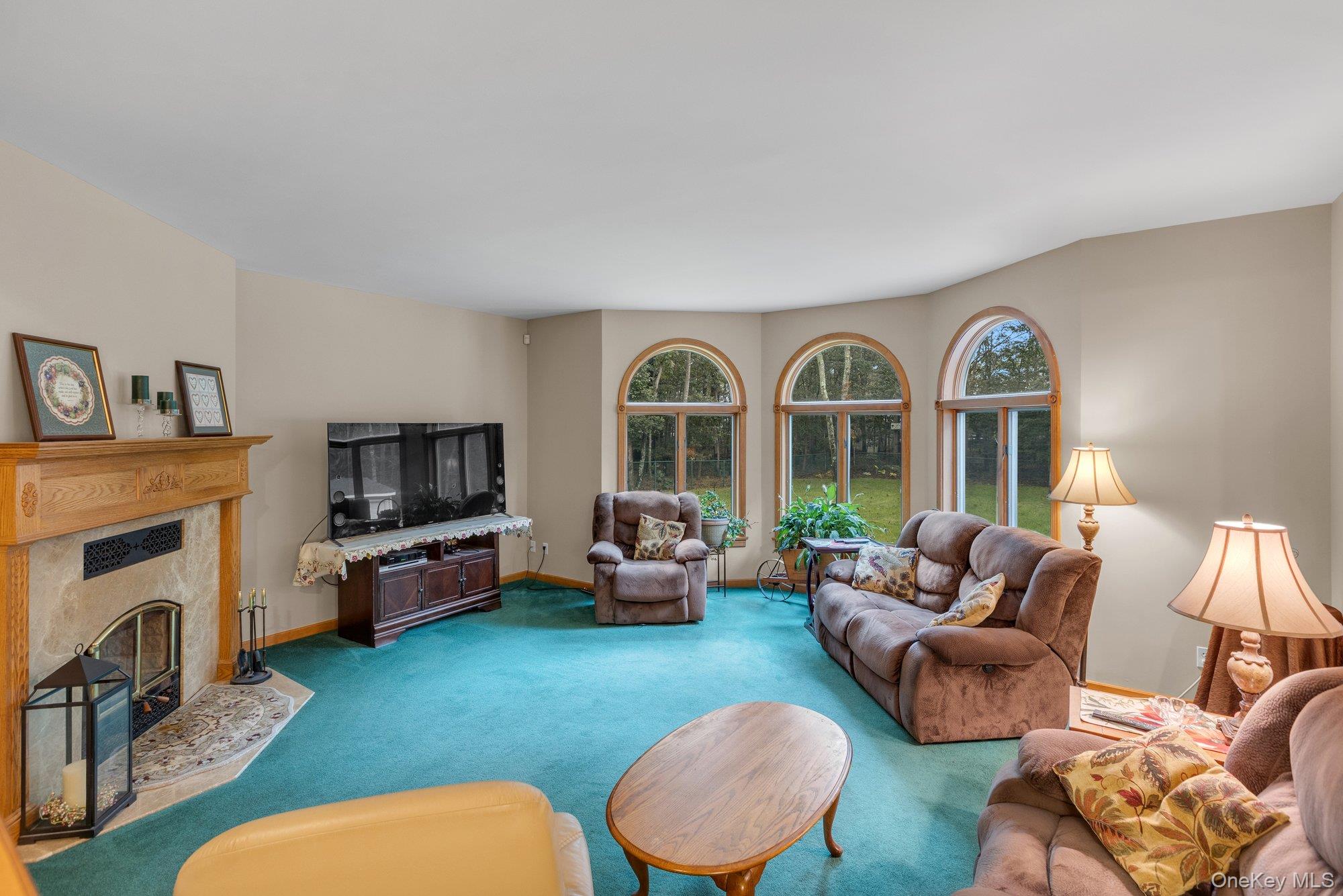 501 Wading River Road Manorville, NY 11949 - Photo 5 of 31 Living room featuring carpet flooring and a premium fireplace