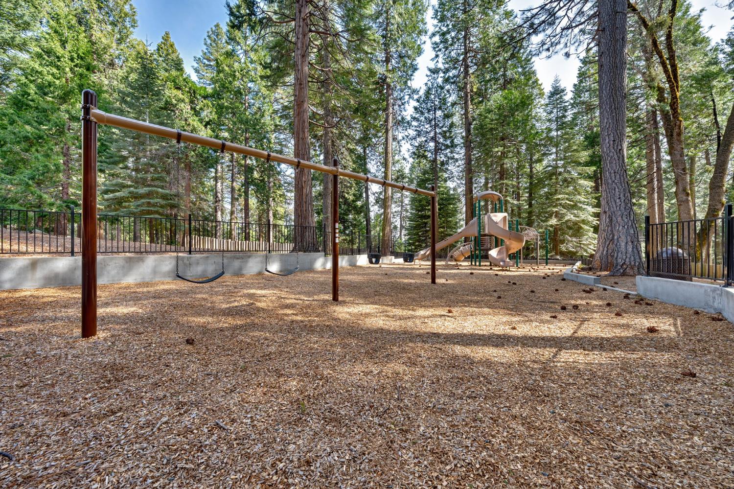 3960 Garnet Road Pollock Pines, CA 95726 - Photo 43 of 50 a view of a park with swings