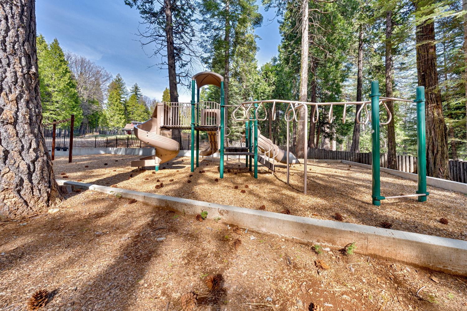3960 Garnet Road Pollock Pines, CA 95726 - Photo 46 of 50 a view of a park with swings and slides