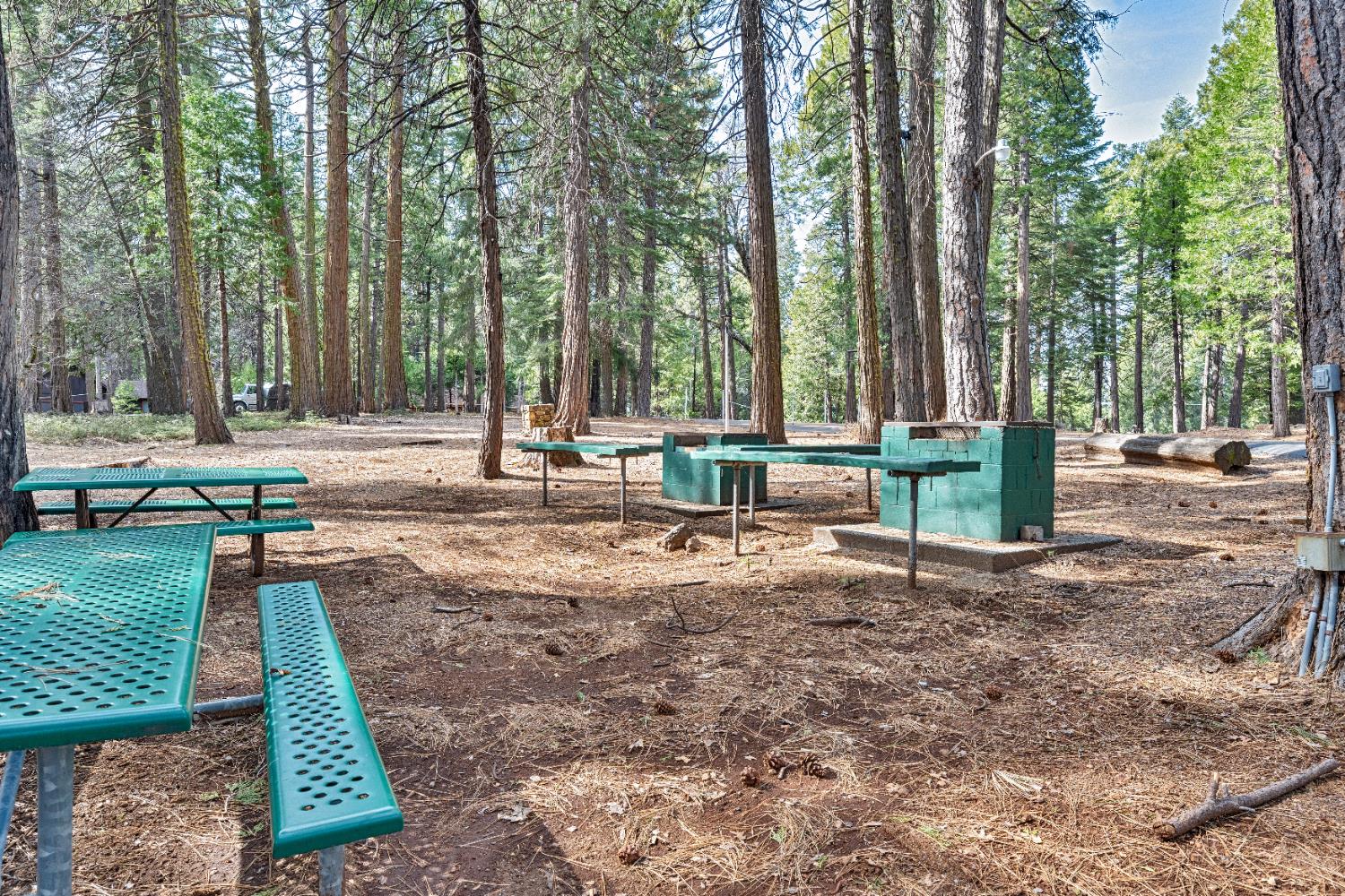 3960 Garnet Road Pollock Pines, CA 95726 - Photo 48 of 50 a backyard of a house with lots of green space and trees