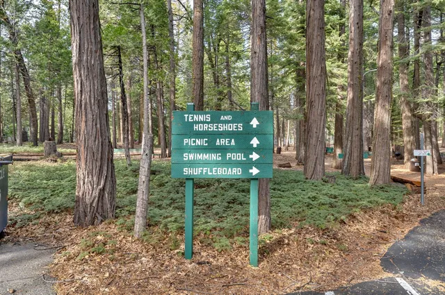 a view of a park that has large trees and a park
