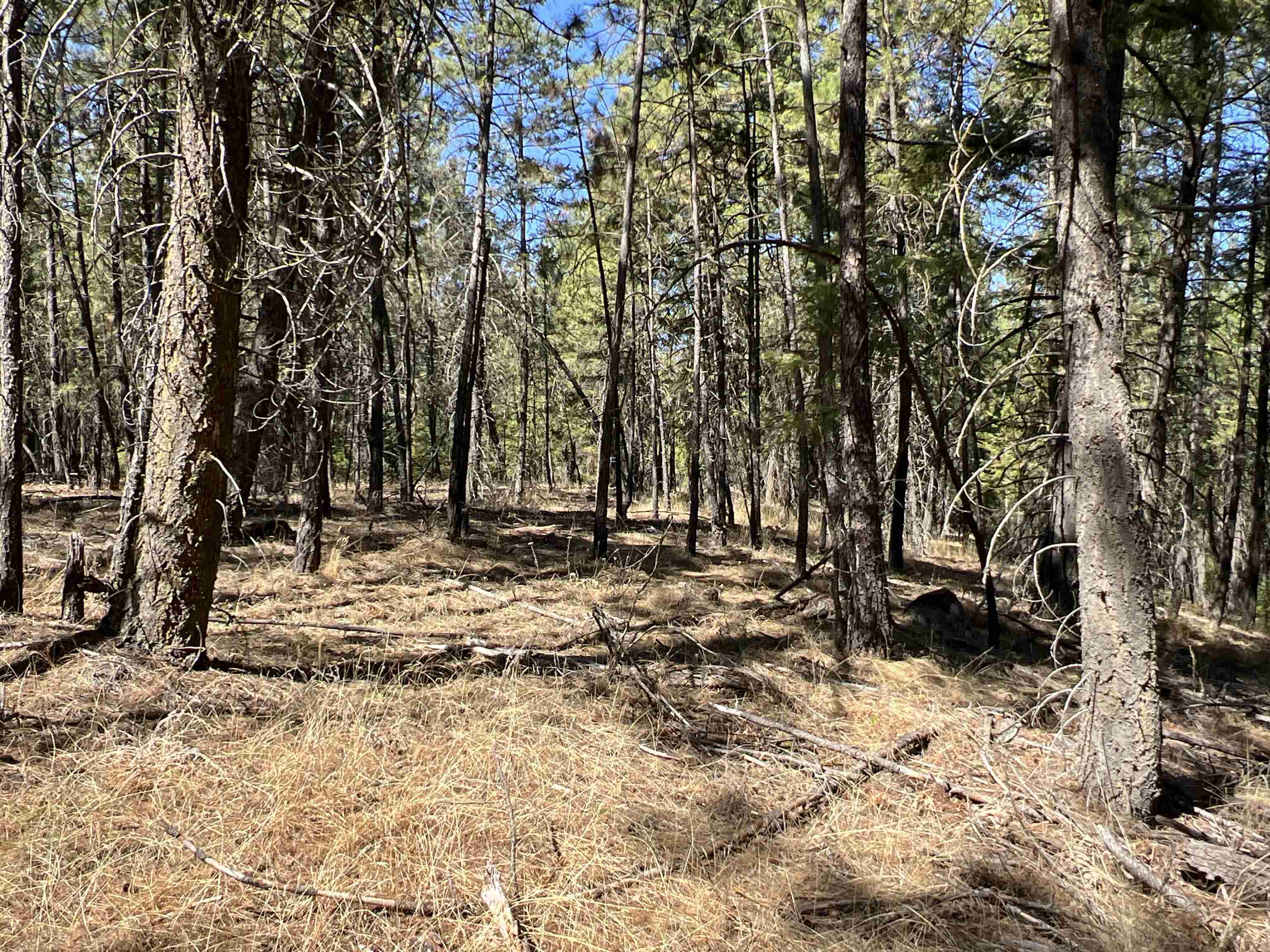 Nka Nka Coyote Ridge Ln Ford Ford, WA 99013 - Photo 11 of 28