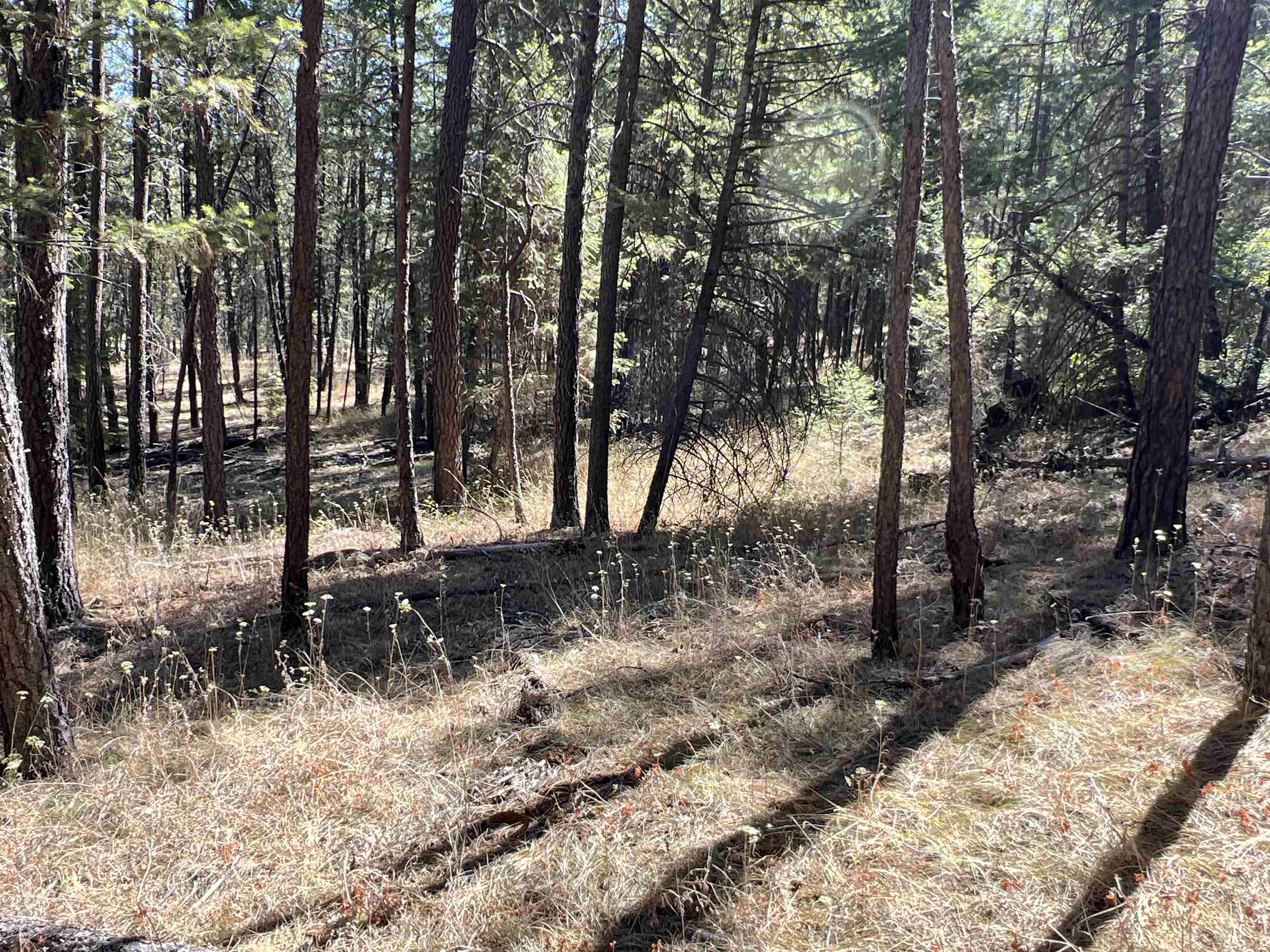 Nka Nka Coyote Ridge Ln Ford Ford, WA 99013 - Photo 12 of 28