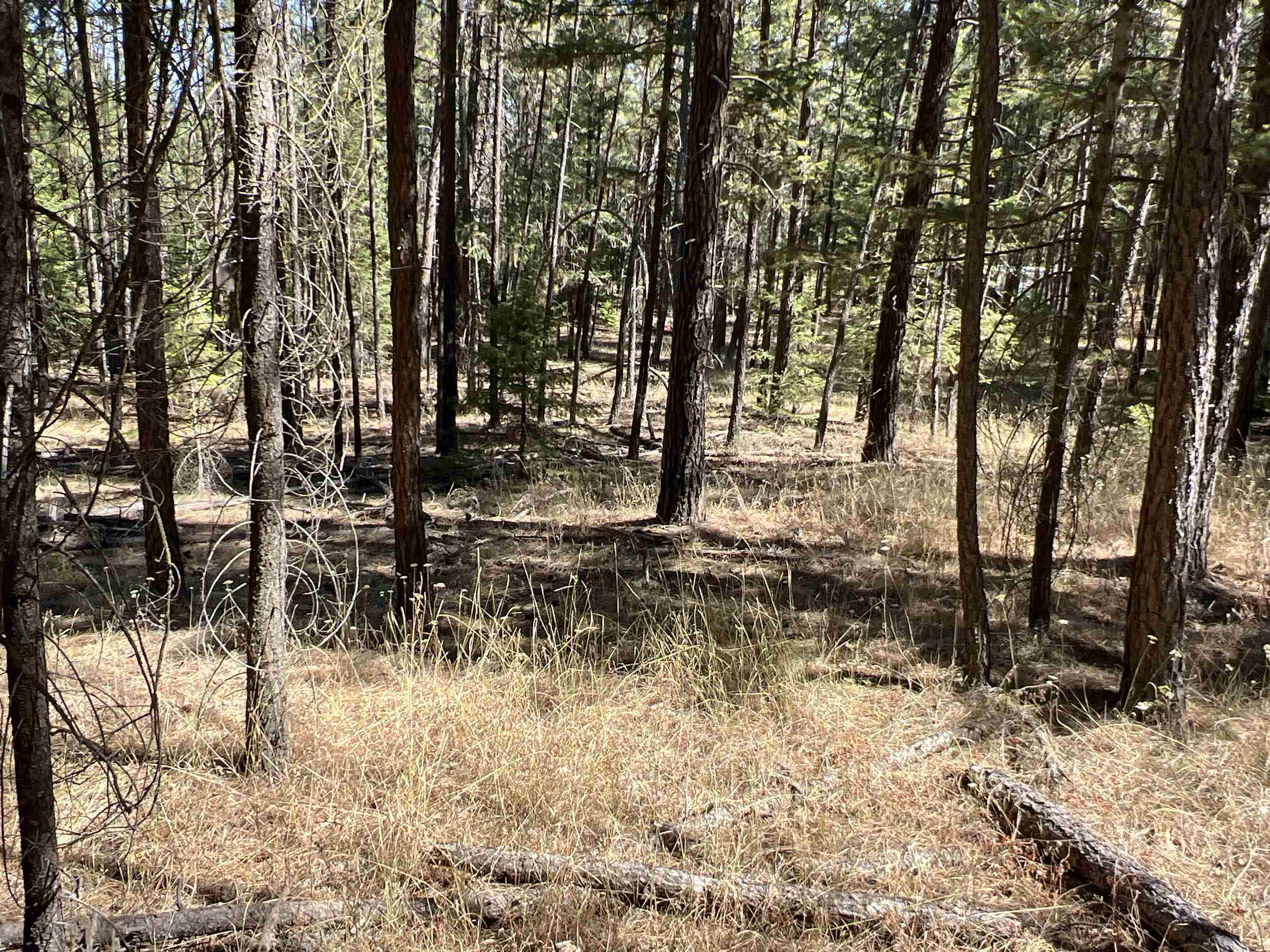 Nka Nka Coyote Ridge Ln Ford Ford, WA 99013 - Photo 13 of 28