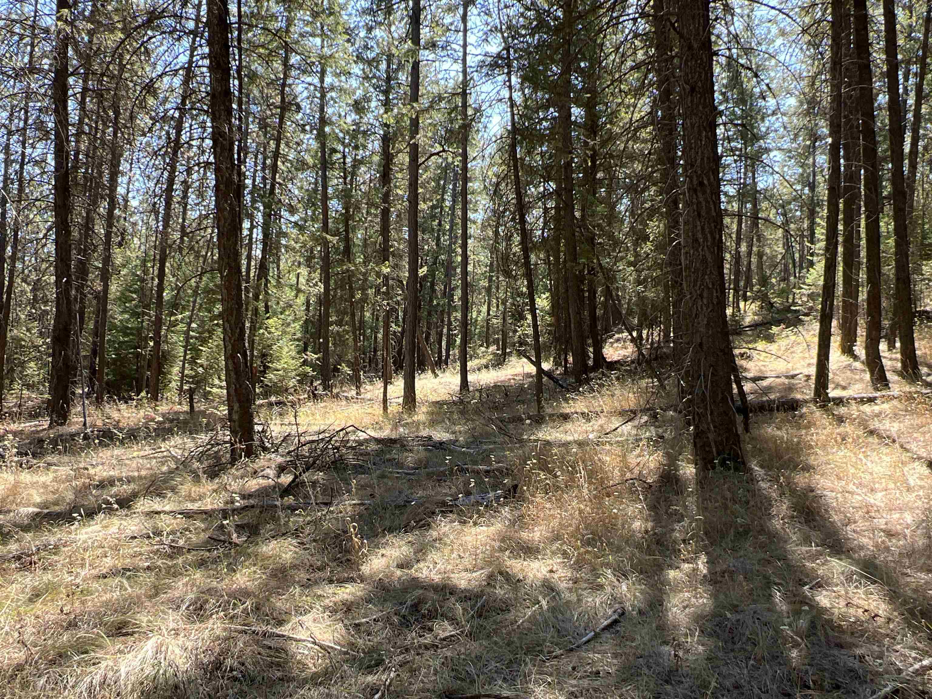 Nka Nka Coyote Ridge Ln Ford Ford, WA 99013 - Photo 14 of 28