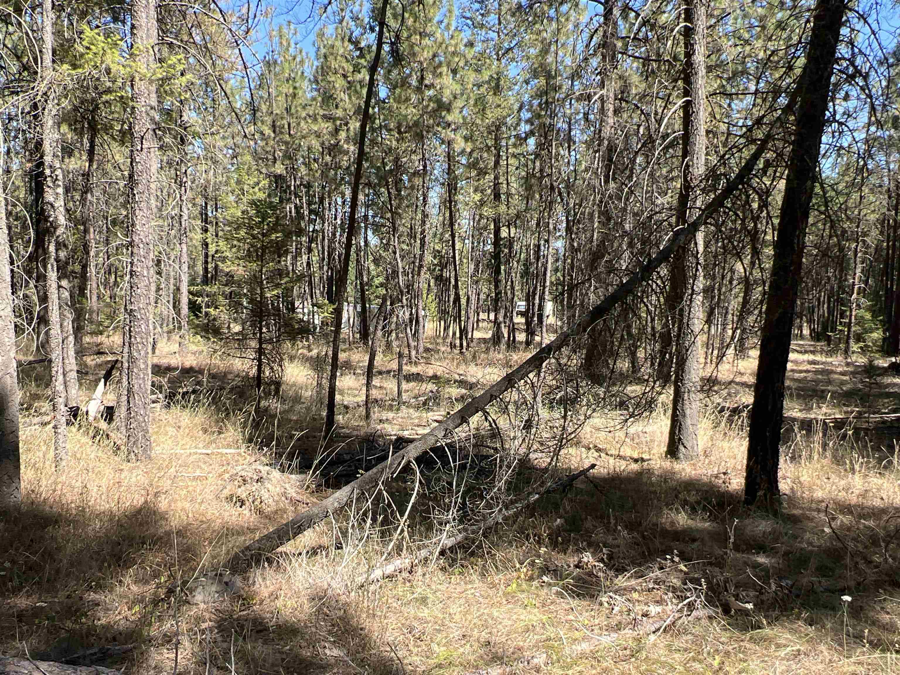 Nka Nka Coyote Ridge Ln Ford Ford, WA 99013 - Photo 15 of 28