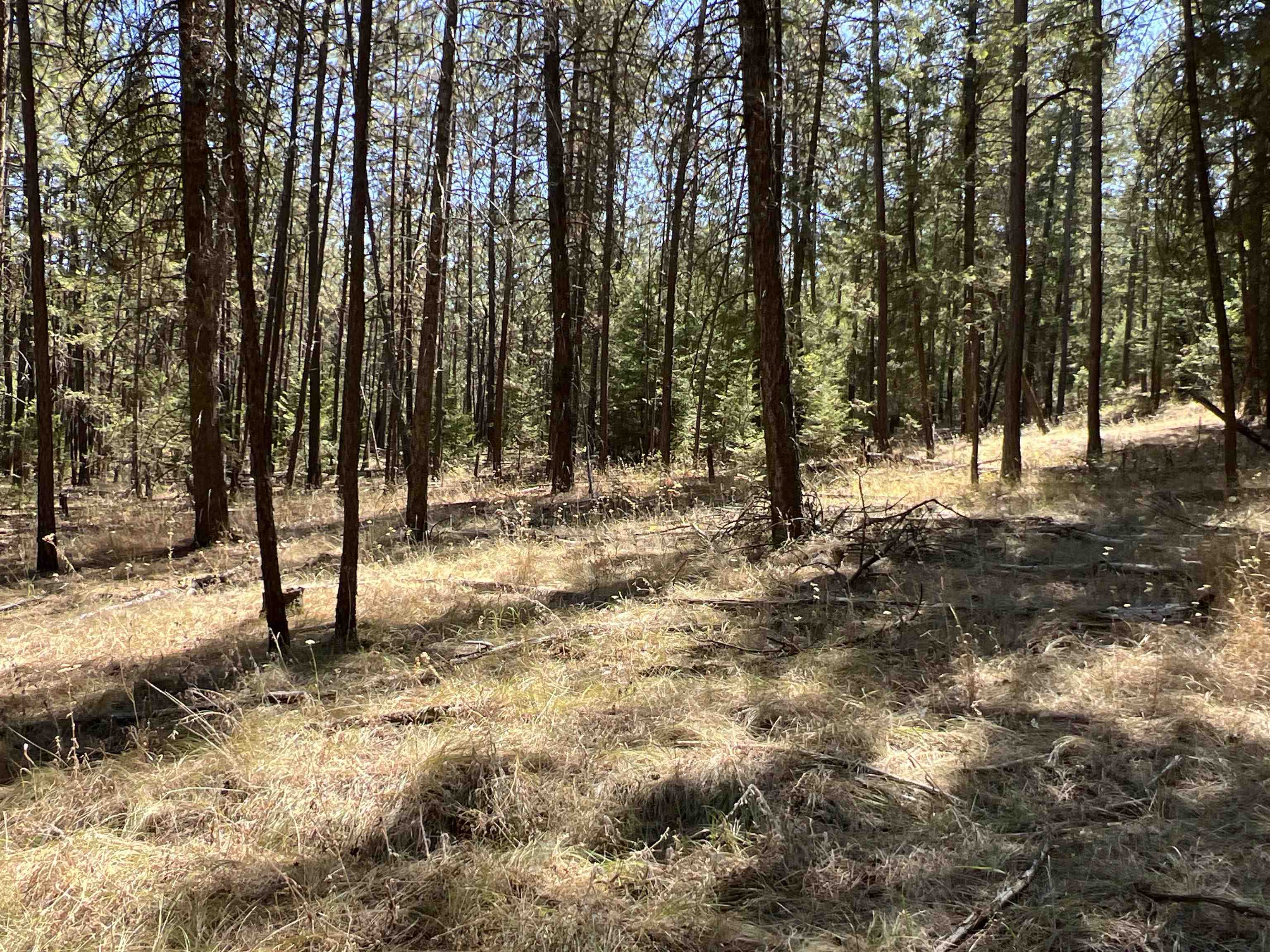 Nka Nka Coyote Ridge Ln Ford Ford, WA 99013 - Photo 16 of 28