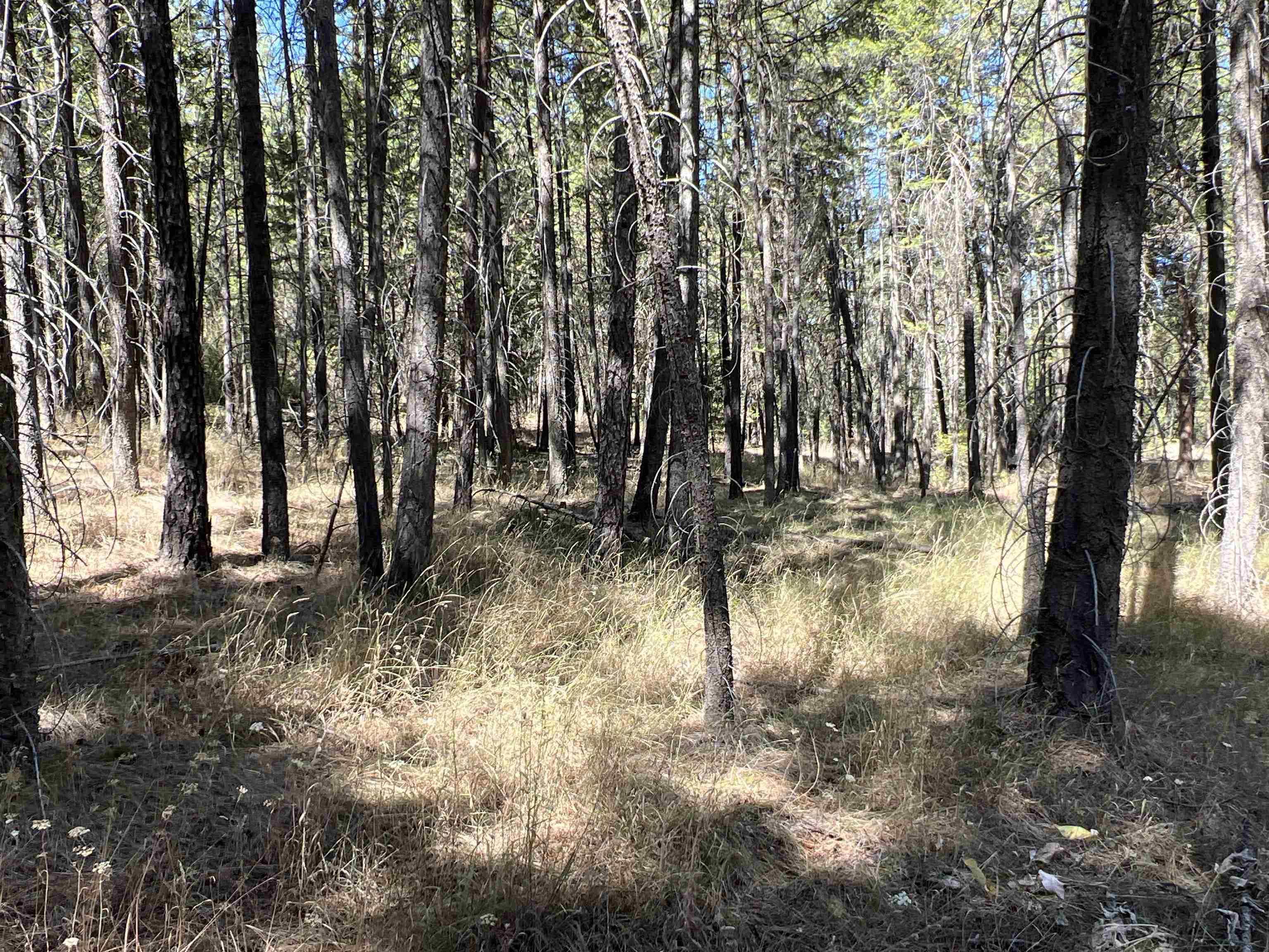 Nka Nka Coyote Ridge Ln Ford Ford, WA 99013 - Photo 17 of 28