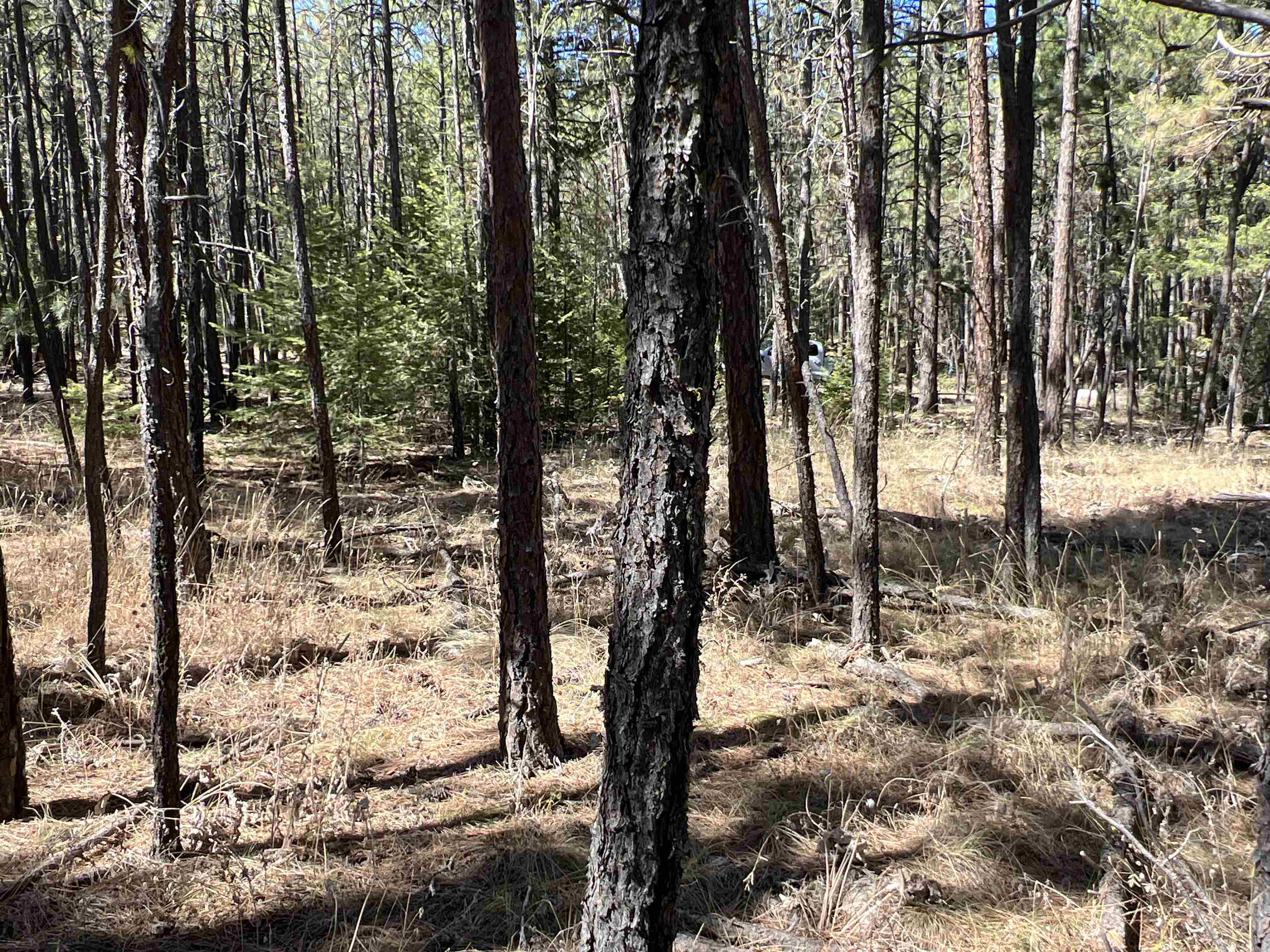 Nka Nka Coyote Ridge Ln Ford Ford, WA 99013 - Photo 19 of 28