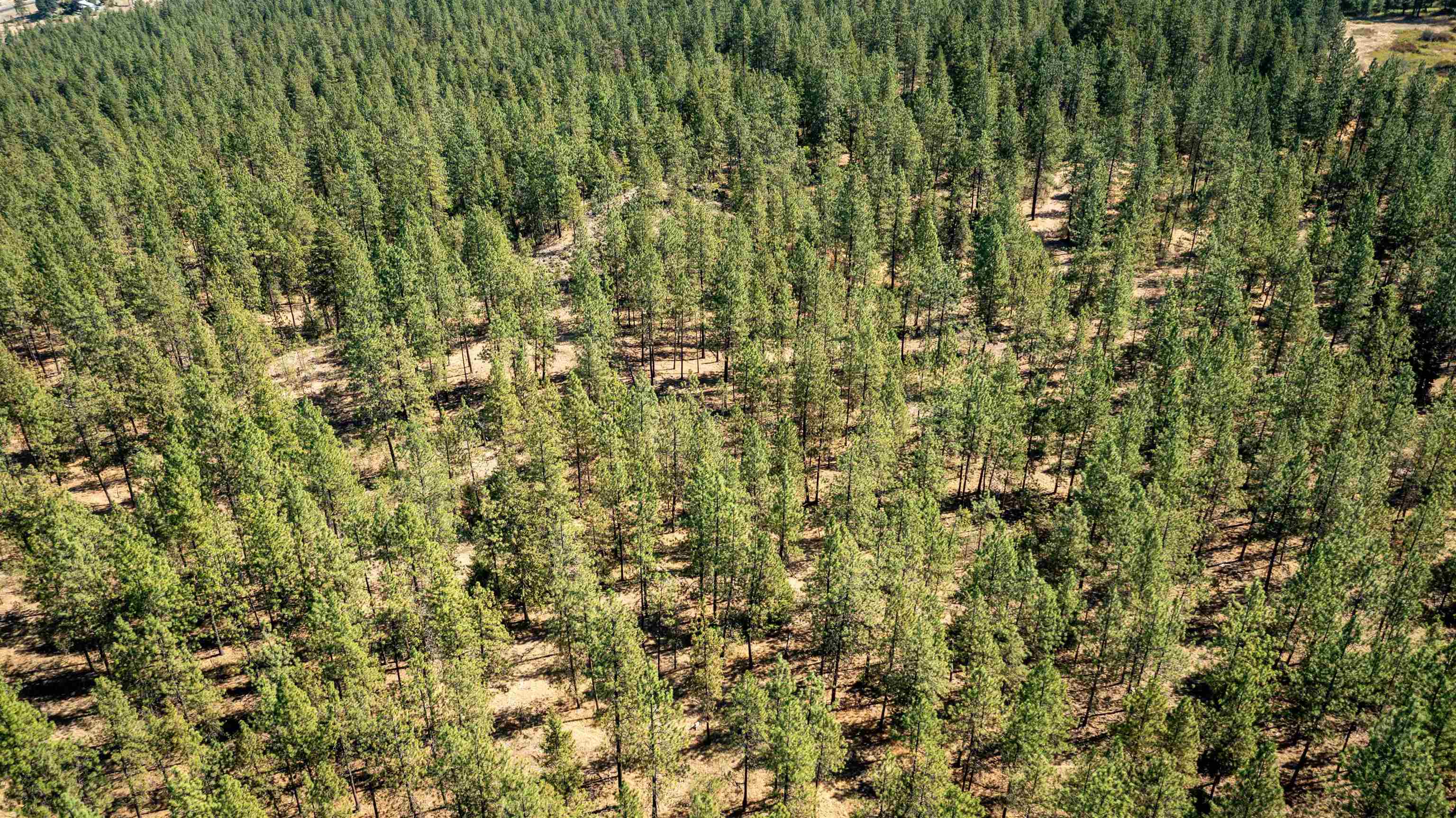 Nka Nka Coyote Ridge Ln Ford Ford, WA 99013 - Photo 20 of 28