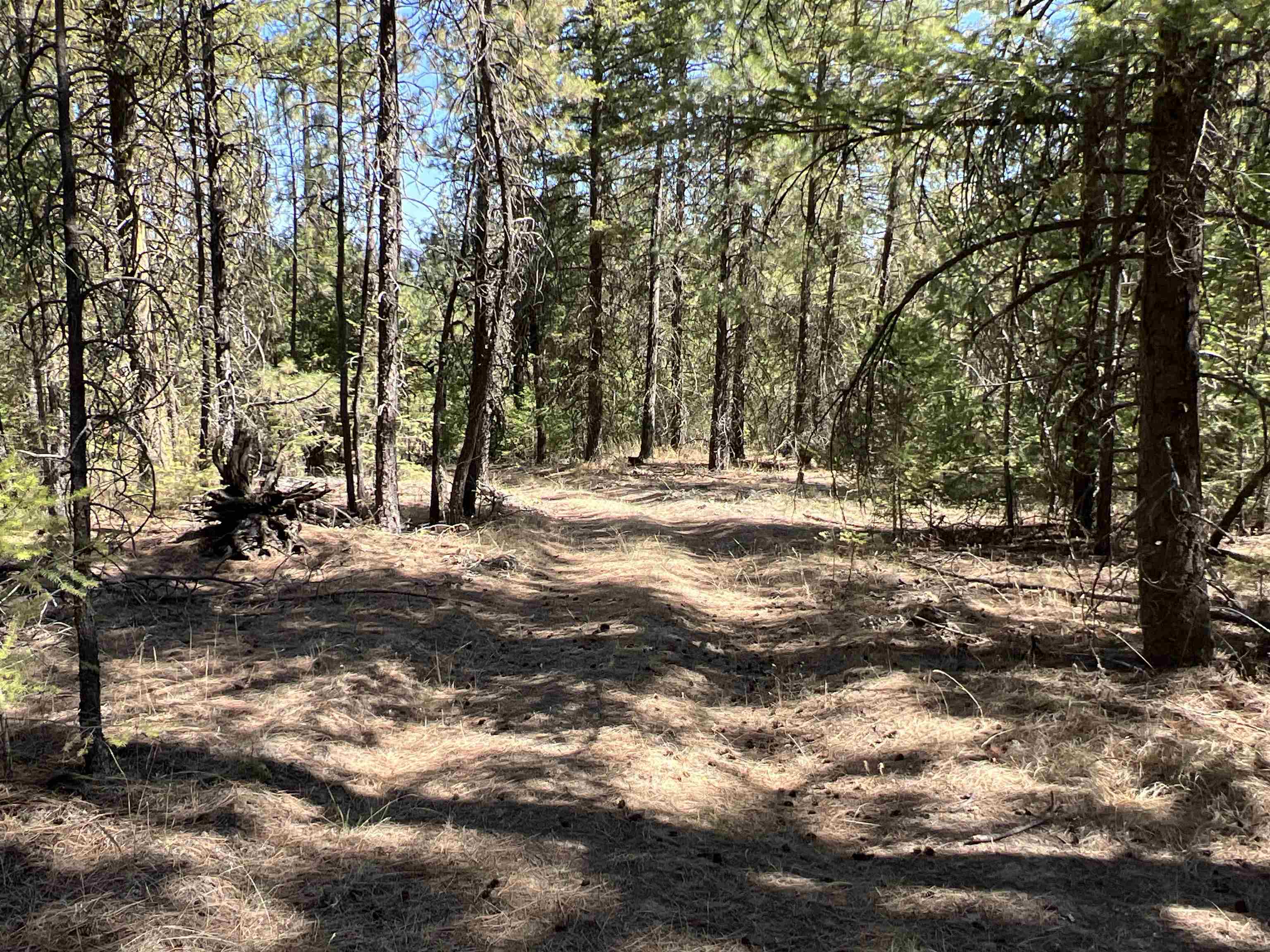 Nka Nka Coyote Ridge Ln Ford Ford, WA 99013 - Photo 2 of 28