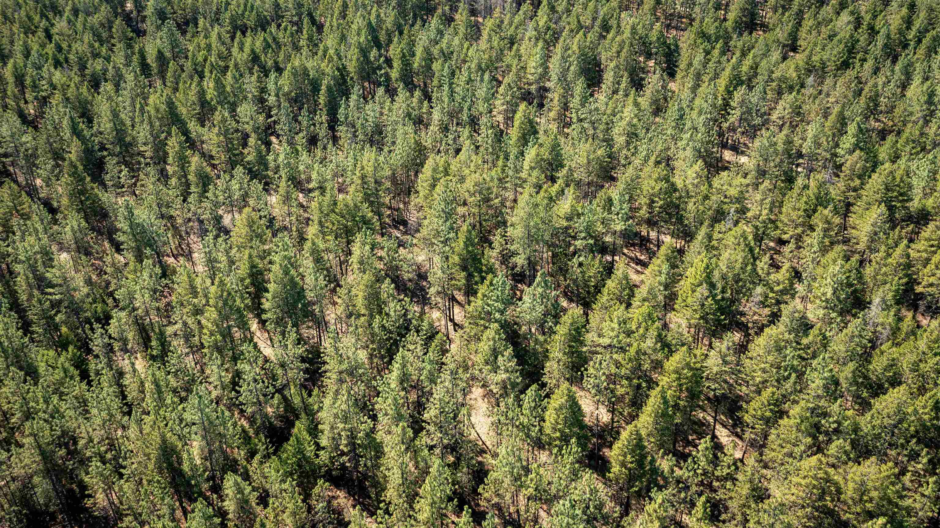 Nka Nka Coyote Ridge Ln Ford Ford, WA 99013 - Photo 21 of 28