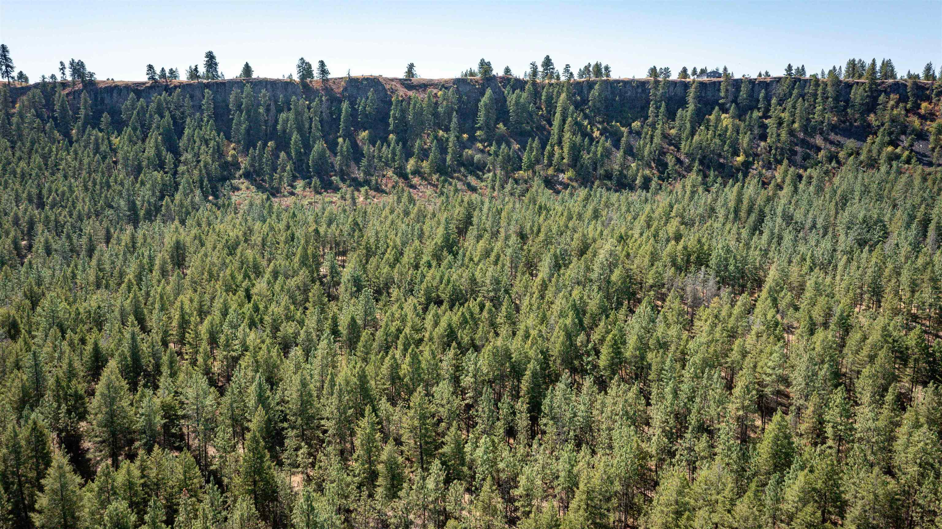 Nka Nka Coyote Ridge Ln Ford Ford, WA 99013 - Photo 22 of 28