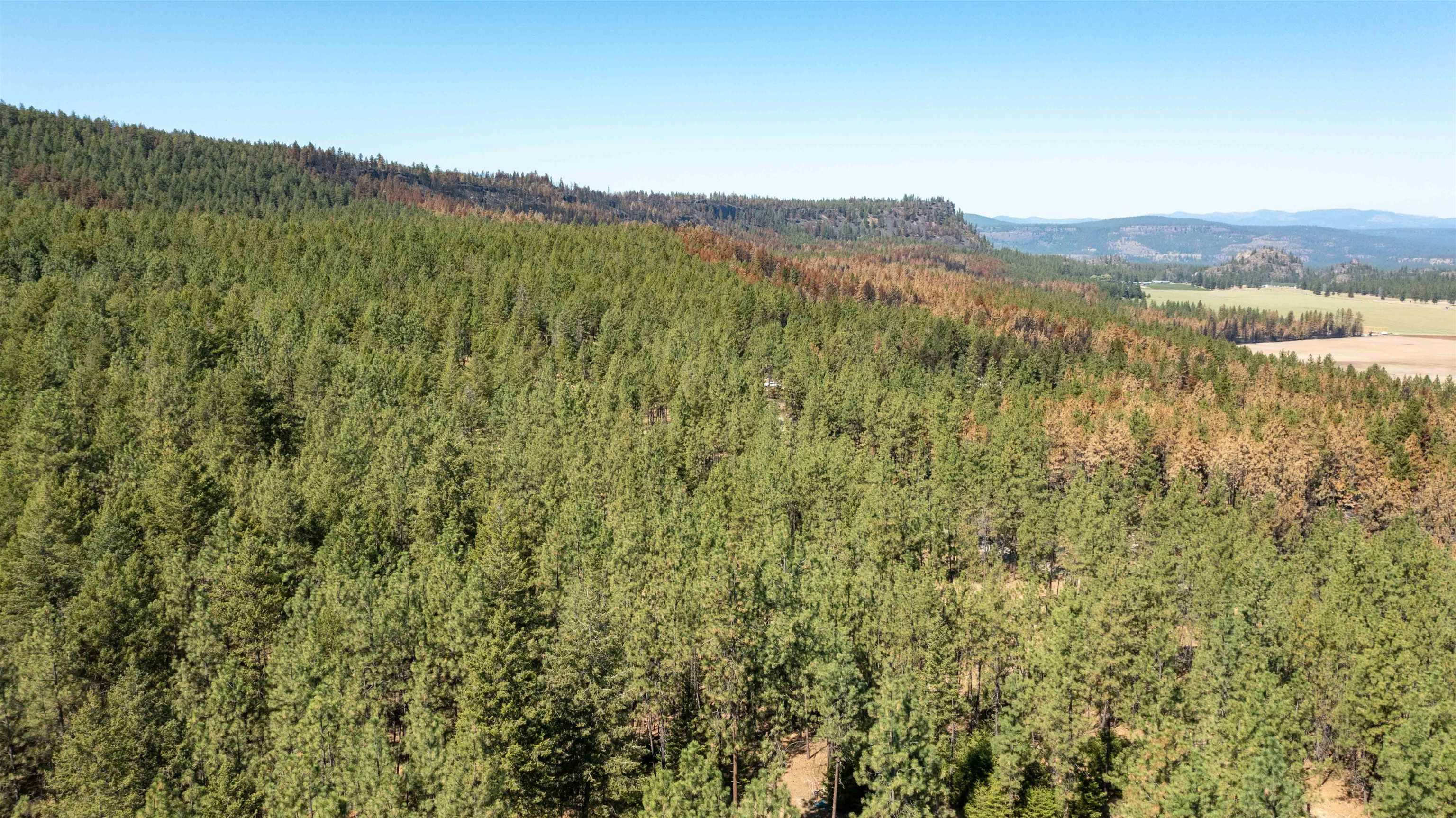 Nka Nka Coyote Ridge Ln Ford Ford, WA 99013 - Photo 23 of 28