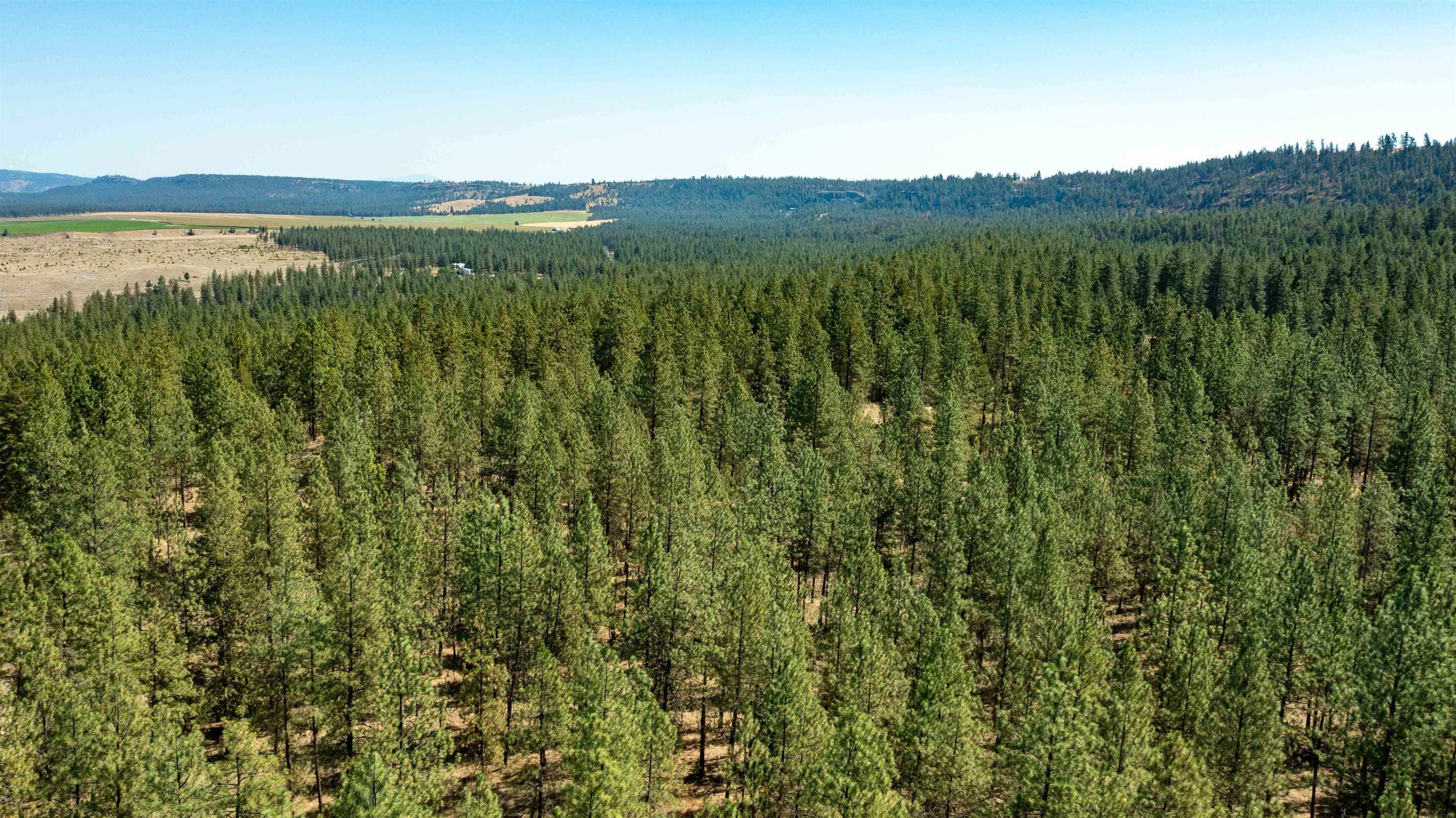 Nka Nka Coyote Ridge Ln Ford Ford, WA 99013 - Photo 24 of 28