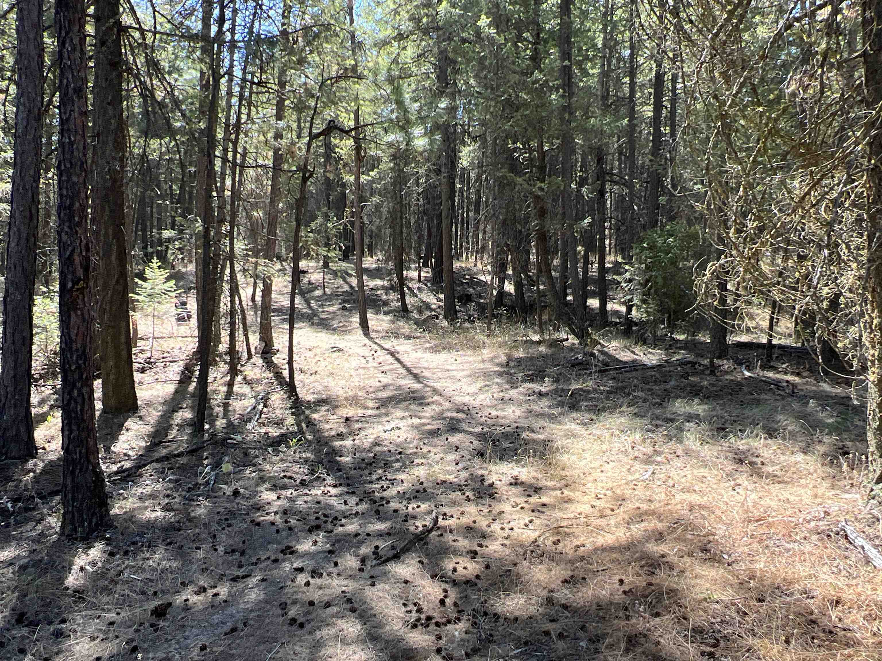 Nka Nka Coyote Ridge Ln Ford Ford, WA 99013 - Photo 3 of 28