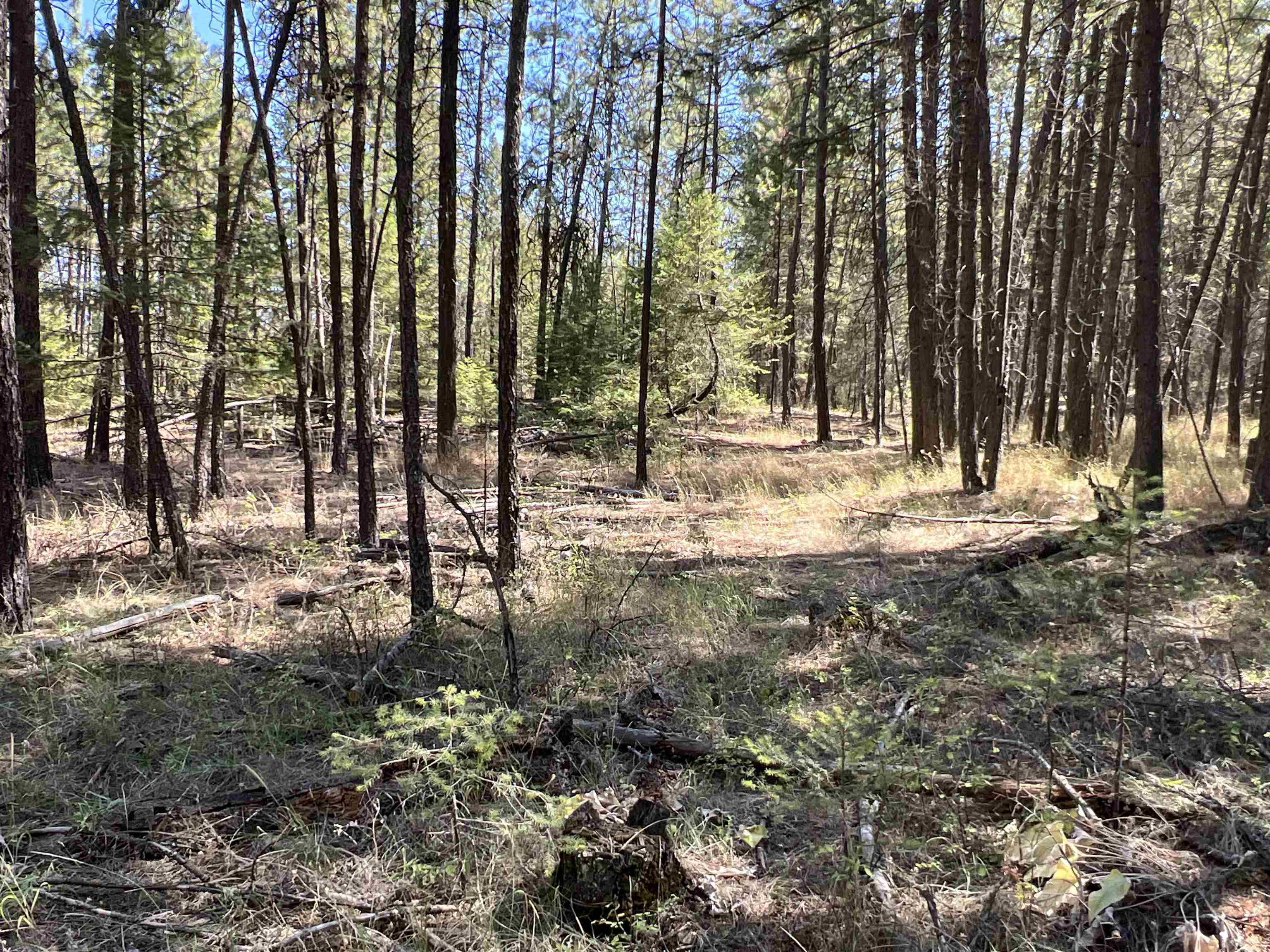 Nka Nka Coyote Ridge Ln Ford Ford, WA 99013 - Photo 5 of 28