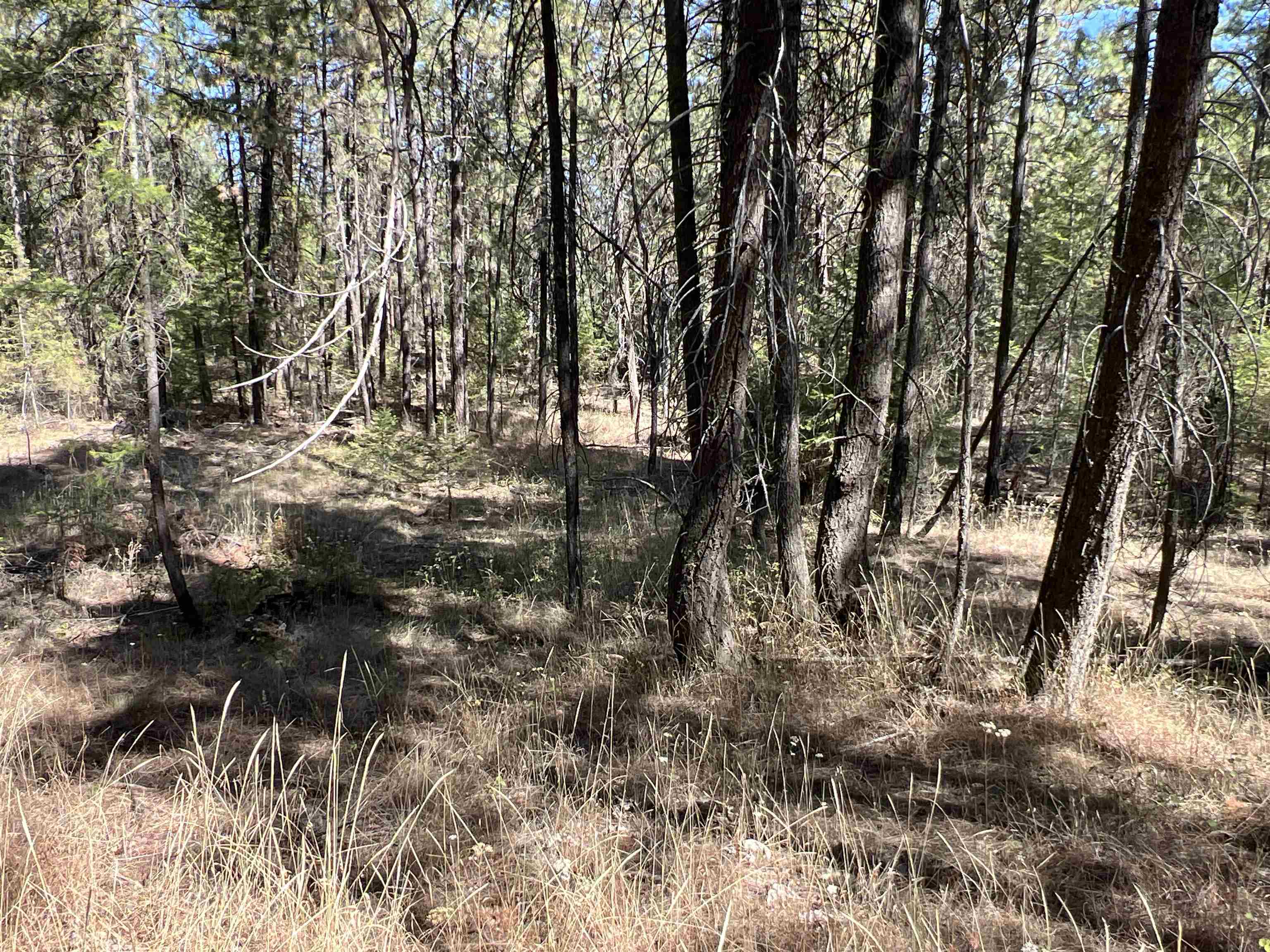 Nka Nka Coyote Ridge Ln Ford Ford, WA 99013 - Photo 8 of 28