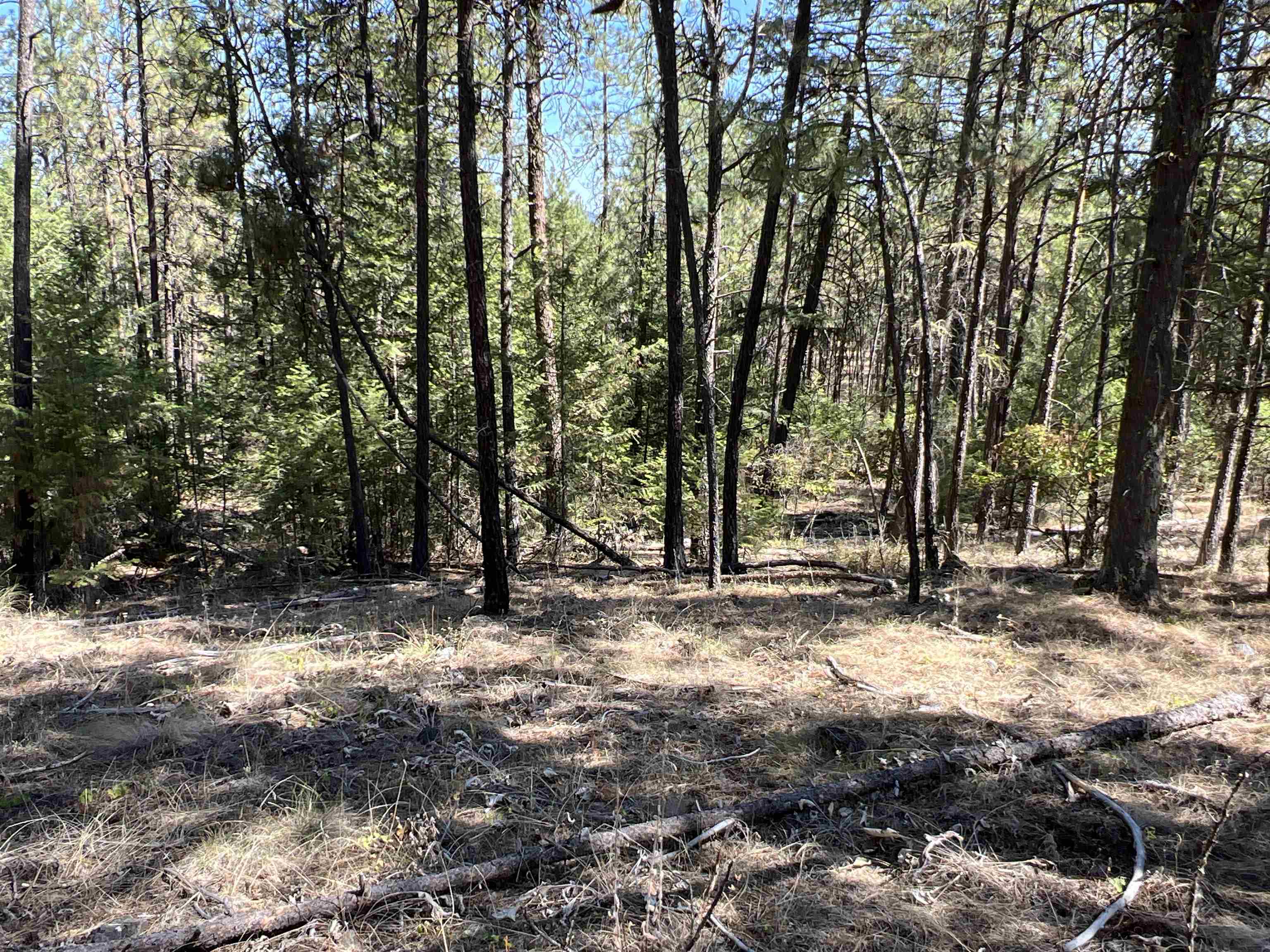 Nka Nka Coyote Ridge Ln Ford Ford, WA 99013 - Photo 9 of 28