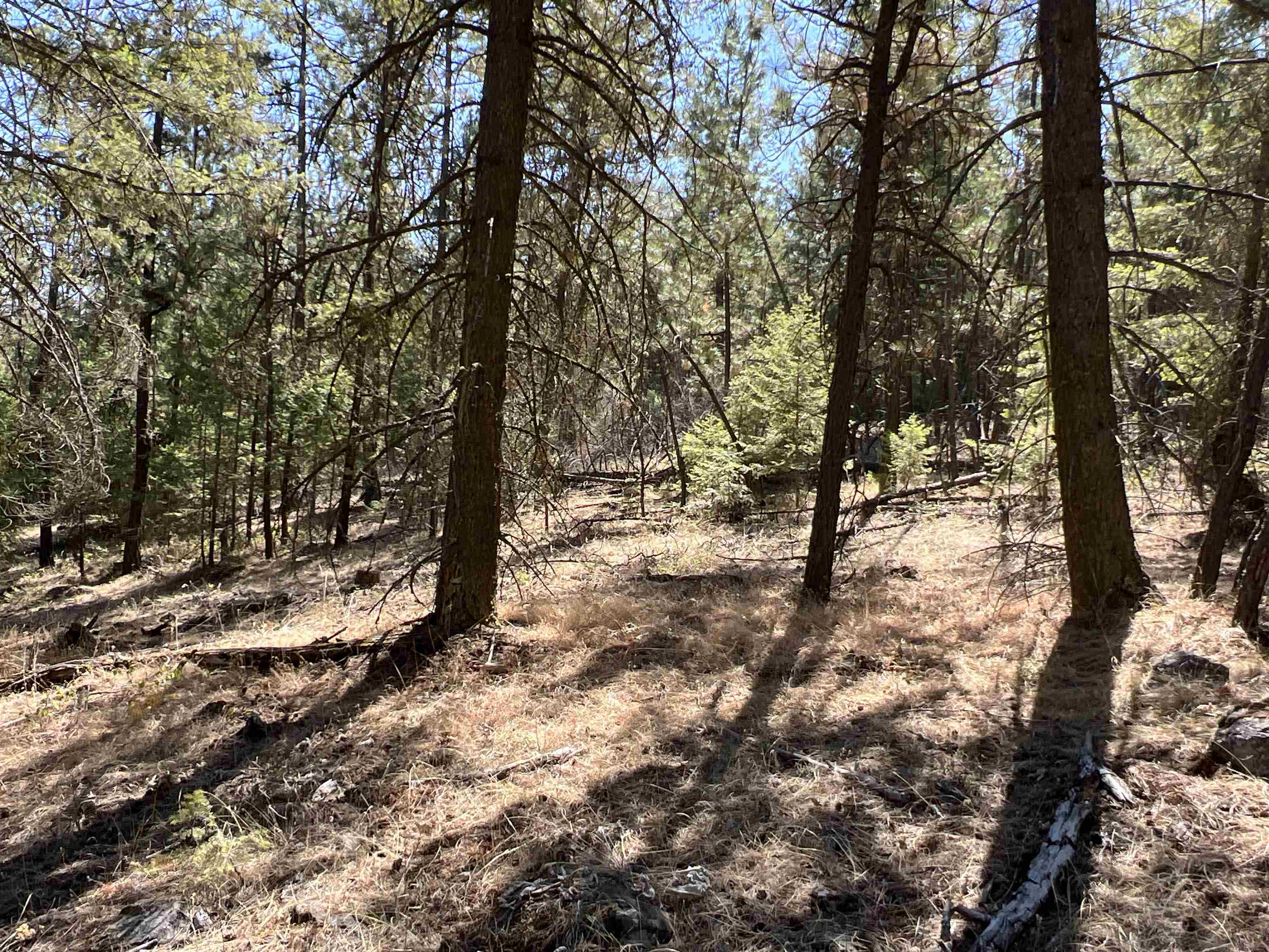 Nka Nka Coyote Ridge Ln Ford Ford, WA 99013 - Photo 10 of 28