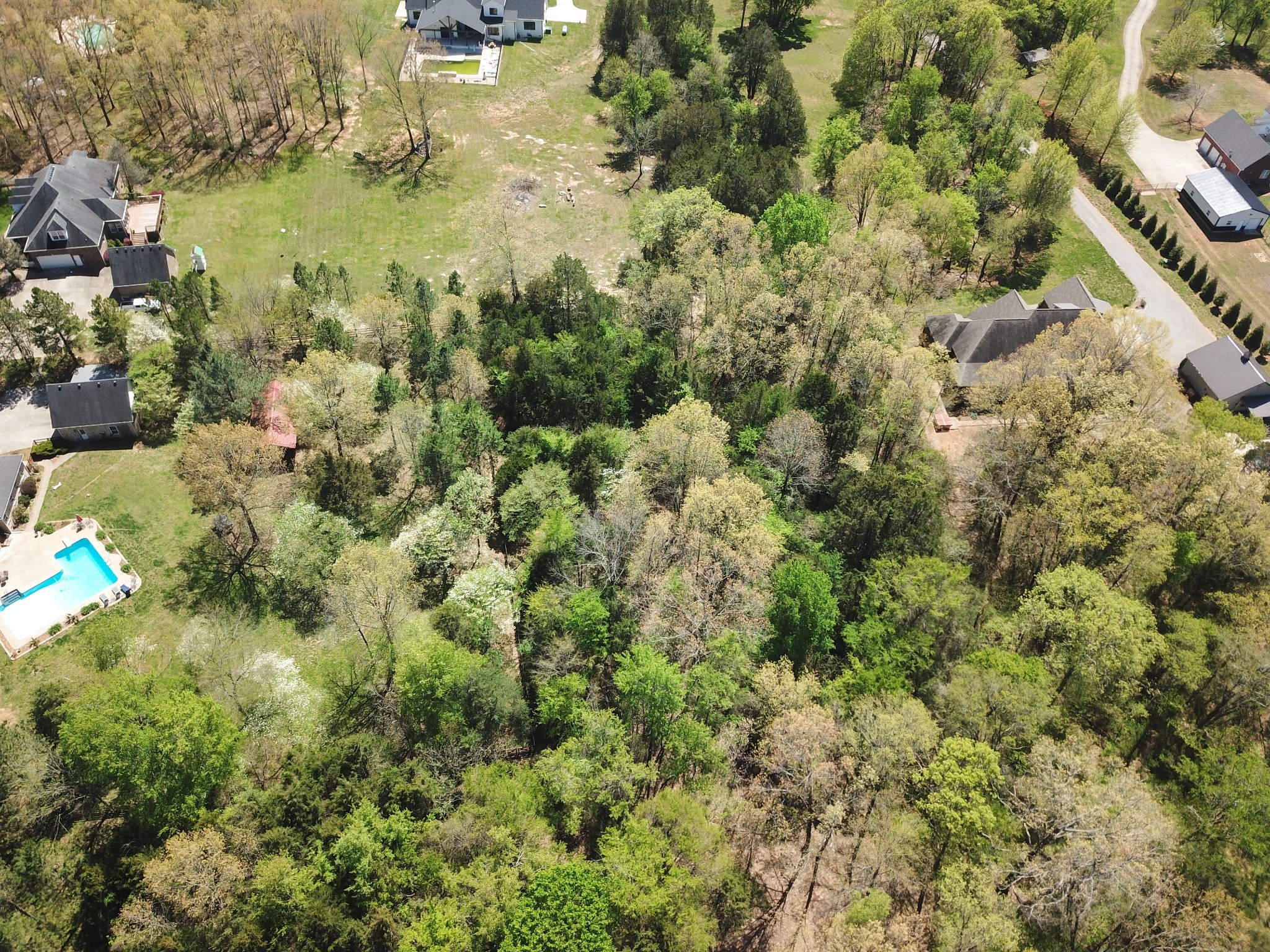 4218 Shores Road Murfreesboro, TN 37128 - Photo 11 of 13 a view of a lake view