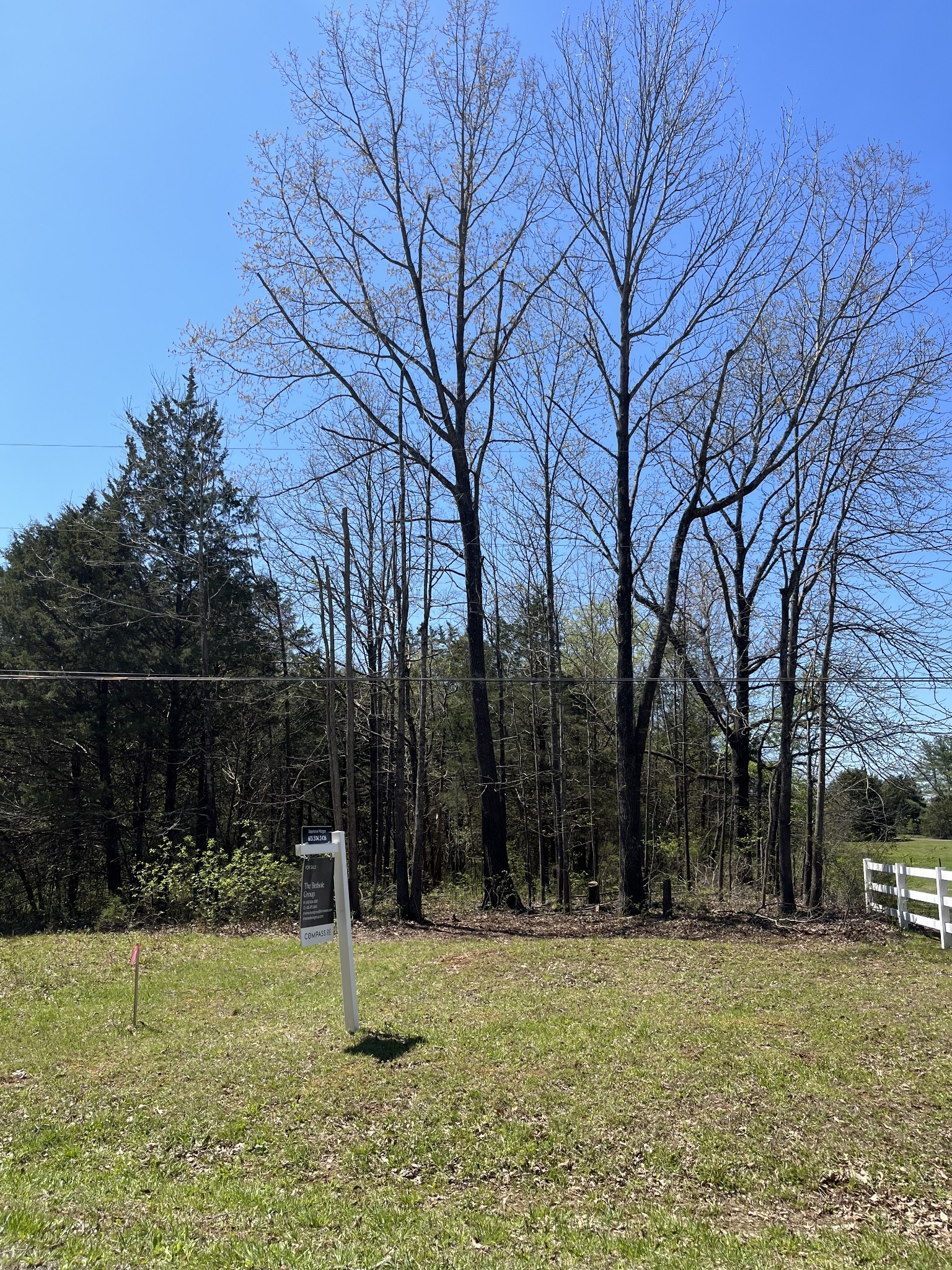 4218 Shores Road Murfreesboro, TN 37128 - Photo 8 of 13 a backyard of a house