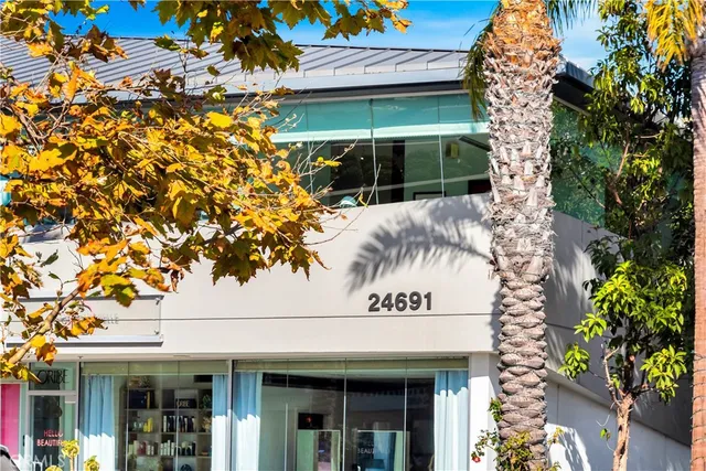 a view of a floor to ceiling window and tree