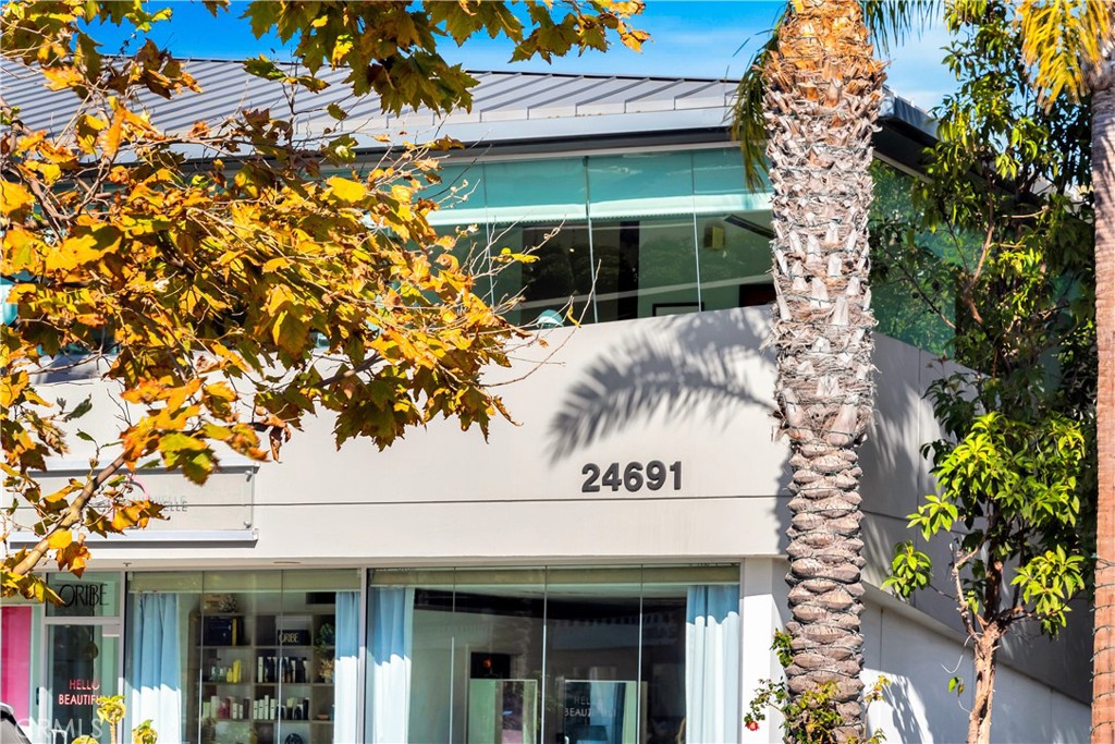 24691 Del Prado Avenue Dana Point, CA 92629 - Photo 15 of 67