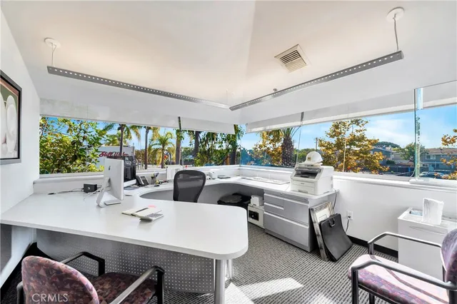 a living room with furniture flowerpot and a chandelier